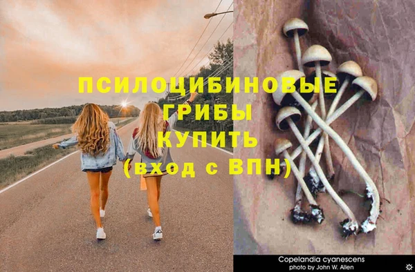 синтетический гашиш Балахна